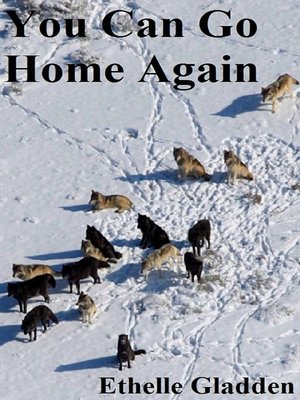 cover image of You Can Go Home Again